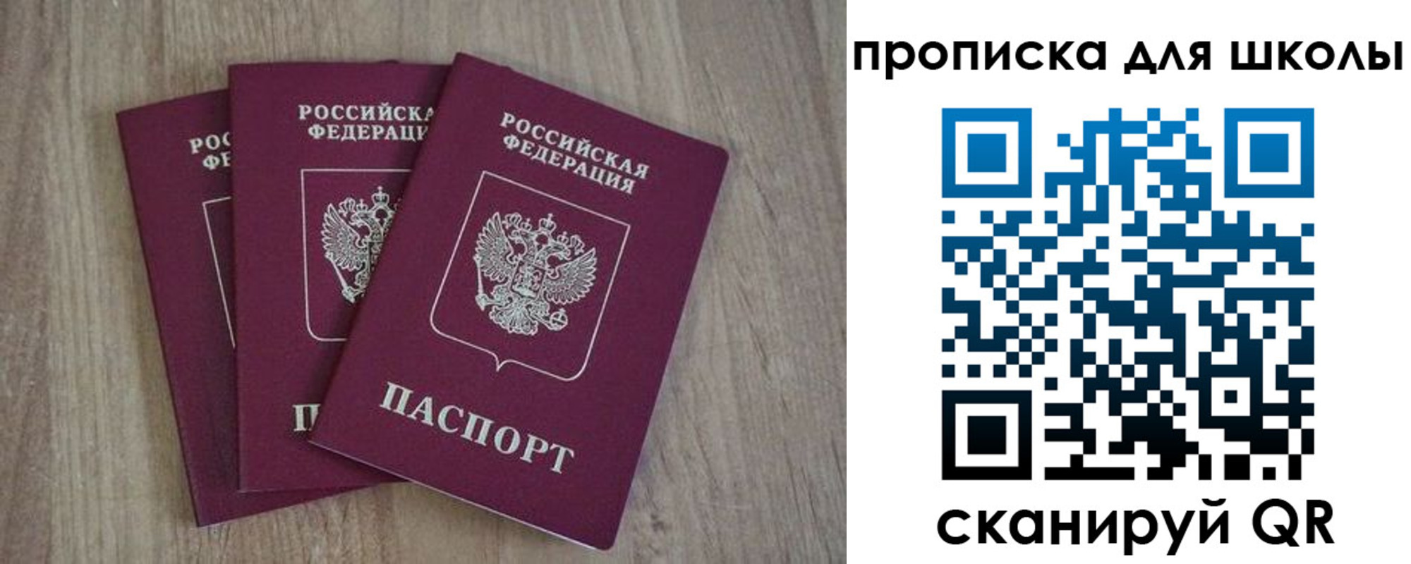 прописка для школы в Курске